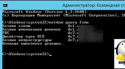 Primjer postavljanja lokalnog NTP poslužitelja za rad s NetPing uređajima Ntp Yandex poslužitelja